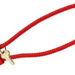 DAC CABLE LOCK CA APPROVED 15"