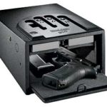 GUNVAULT MINIVAULT BIOMTRC 8X5X12