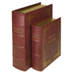 PS DOUBLE DIVERSION BOOK SET